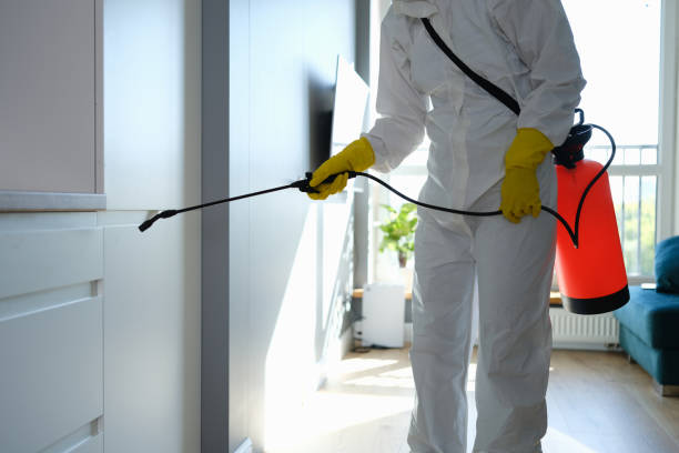 Best Mold Remediation Experts  in Trenton, MO