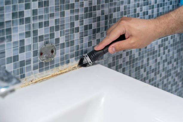 Best Fast Mold Removal  in Trenton, MO