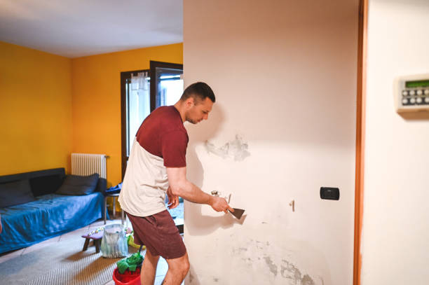 Best Best Mold Removal Companies  in Trenton, MO