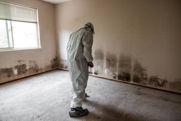 Crawl Space Mold Removal in Trenton, MO