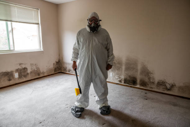 Best Residential Mold Removal  in Trenton, MO